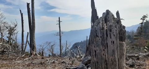 236-219(25-24)大崩山1104_125429