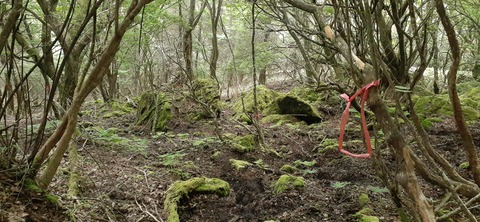 266-247(3-3)天空の杜602_082901