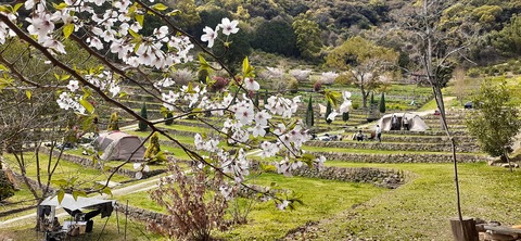 149-134(48-48)橘香園2_133310