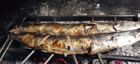 182-166(24-23)長湯きらりキャンプ場1105_184105