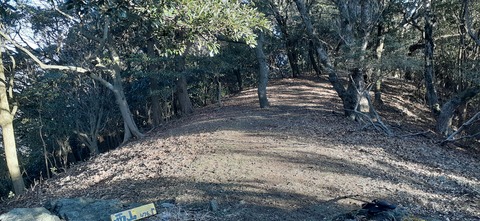 251-232(40-37)大坂山障子ヶ岳218_082912