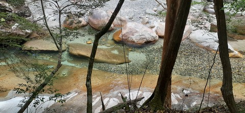 156-141(55-55)鹿川キャンプ場505_154726