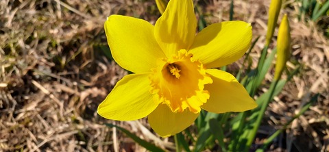 253-234(42-39)障子ヶ岳山頂キャンプ316_145623