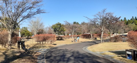 240-223(29-28)ひなもりキャンプ場1124_141632