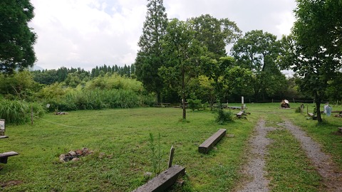 110-95(9-9)高原の里46エイドステ