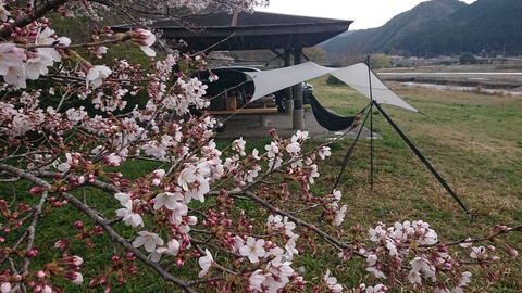 91,92-77,78(46,47-41,42)阿武川河川公園179