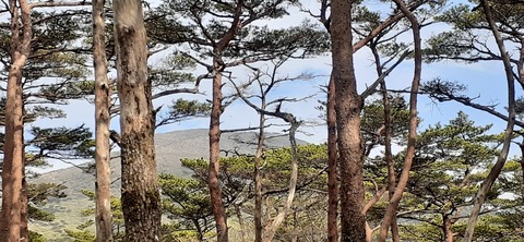 209-193(51-50)えびの高原キャンプ村503_155554