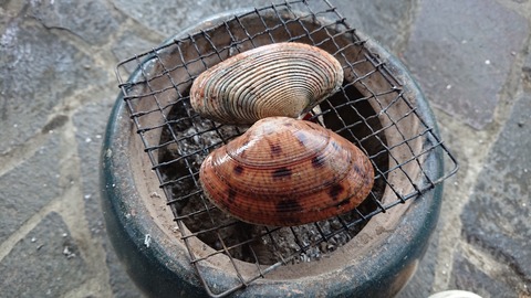 91,92-77,78(46,47-41,42)阿武川河川公園217S