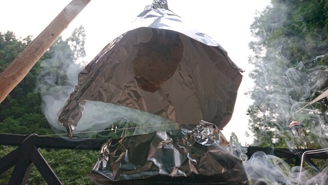 118-103(17-17)グランピングKAWASAKI２129S