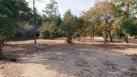 74-61(29-25)千防川砂防公園キャンプ場712