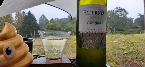 177-162(19-19)HGP南阿蘇OSCAMP1009_134104