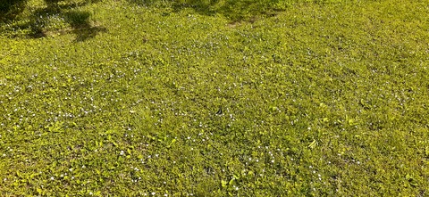 205-189(47-46)ラピュタファーム422_144509