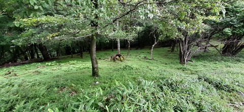 168-153(10-10)英彦山登山731_113822