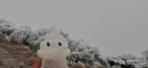 250-231(39-36)RECAMP志高湖 由布岳211_071336