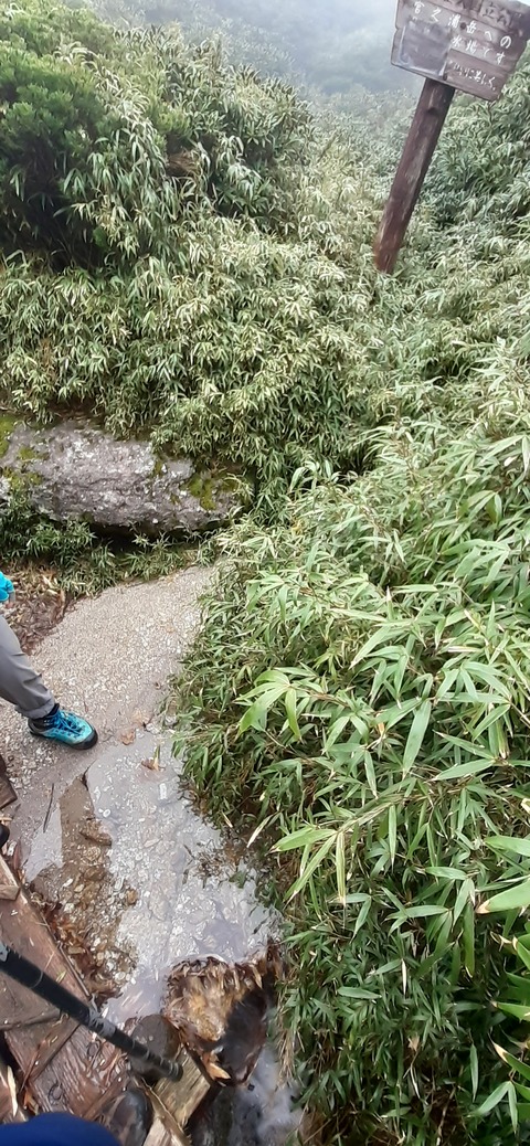 260-241(49-46)宮之浦岳淀川小屋501_142437