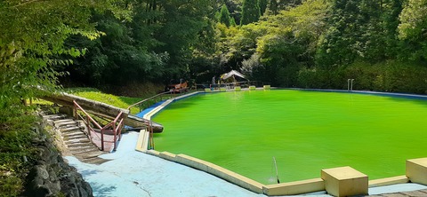 168-153(10-10)阿蘇ファンタジーの森806_122550