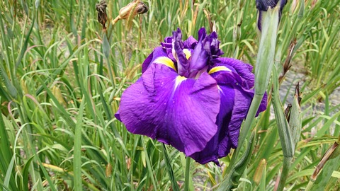 49-39物見山総合公園385S