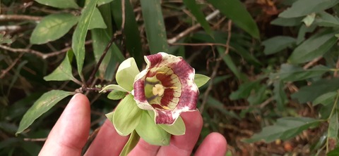 231-214(20-19)牛斬山1001_144826