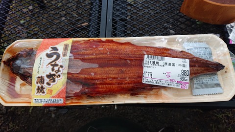 109-94(8-8)背振山キャンプ場844