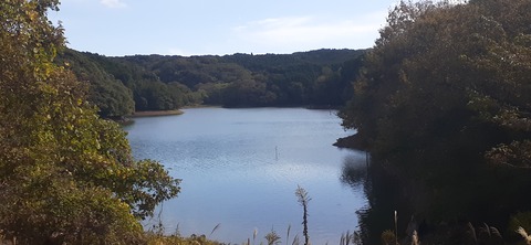 237-220(26-25)るるパーク1111_125317