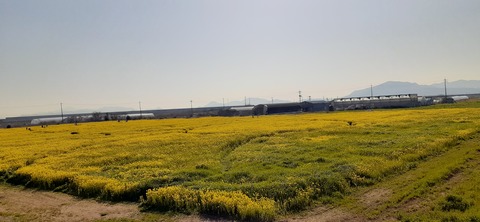 200-184(42-41)糸根地区公園キャンプ場319_155020