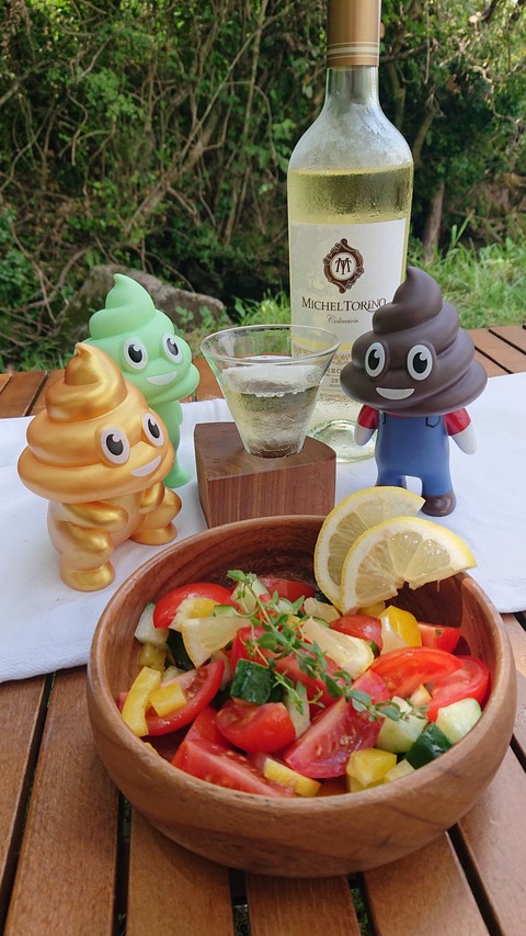 110-95(9-9)高原の里81