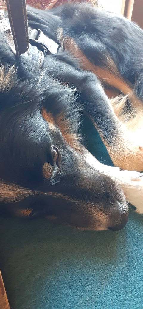 182-166(24-23)長湯きらりキャンプ場1105_124408