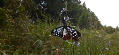 231-214(20-19)牛斬山1001_140402