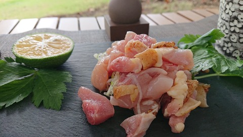 121-106(20-20)九重山麓風の丘656