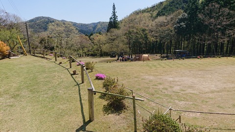 95-80(50-44)小鳥の森キャンプ場474