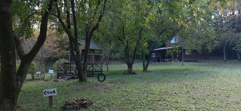 182-166(24-23)長湯きらりキャンプ場1105_132429