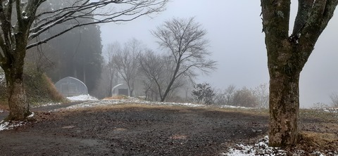 184-168(26-25)吉原ごんべえ村1217_125739