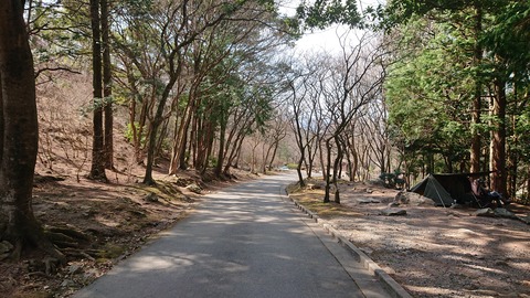 88-74(43-38)昭和の森一本松サイト852