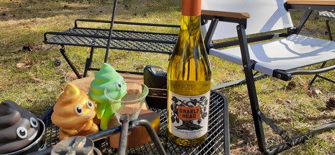 179-163(21-20)ゴンドーシャロレー7泊目1029_145923