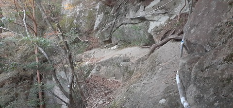 236-219(25-24)大崩山1104_064129