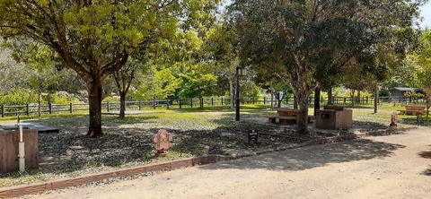 155-140(54-54)うめキャンプ村504_132708