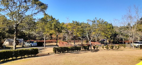 240-223(29-28)ひなもりキャンプ場1124_141342R