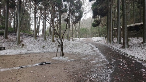 78-63(33-29)北山キャンプ場72S