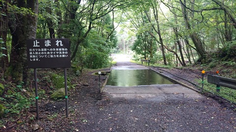 112-97(11-11)坊ガツルキャンプ場363