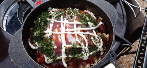 247-228(36-33)ゴンドーシャロレー11泊目127_175049