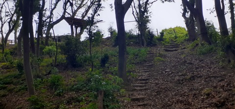 213-197(2-2)レムブランベースC527_132458