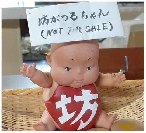 169-154(11-11)法華院温泉山荘2