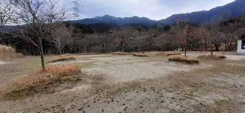 138-123(37-37)sleepy cafe nico22_131157