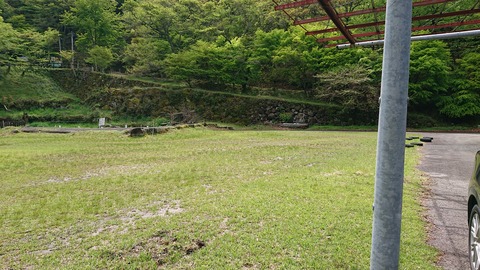 96-81(51-45)伐株山憩いの森589