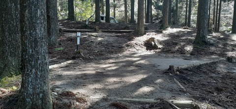 199-183(41-40)山中キャンプ場311_112604