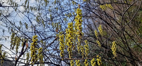 147-132(46-46)桂木山麓白糸の滝20_082233