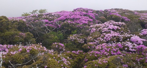 266-247(3-3)天空の杜602_092938