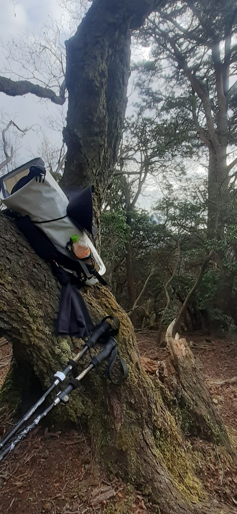 251-232(40-37)伽藍岳ゲリラキャン303_084140