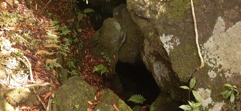 257-238(46-43)開聞岳428_081655