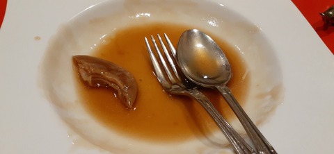 205-189(47-46)爬虫類大好きヤ421_195927